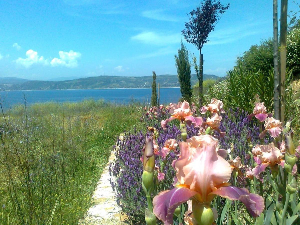 Marvelous Sea View Eco Apt Ammouliani Esterno foto